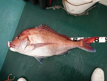 鷹王丸 釣果