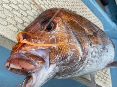 龍神丸（鹿児島） 釣果