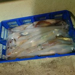 海龍丸（石川） 釣果