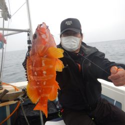 きずなまりん 釣果