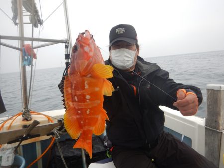 きずなまりん 釣果