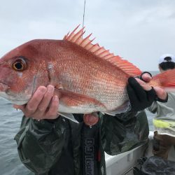 ランスルー 釣果