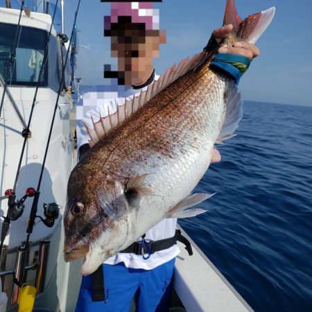 シーライオン 釣果