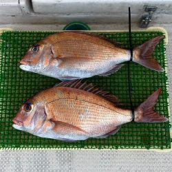 釣人家 釣果