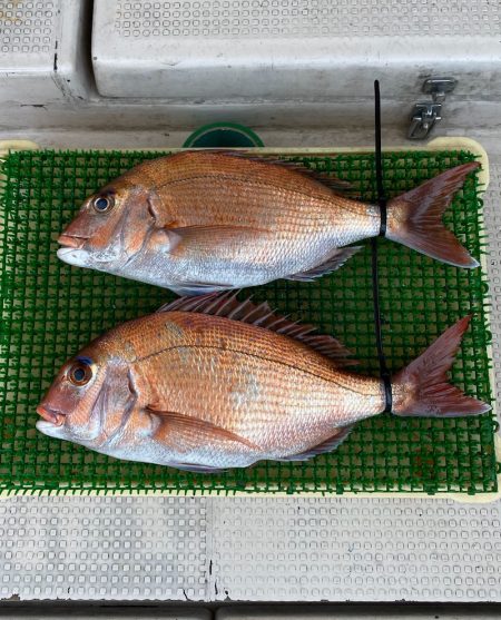 釣人家 釣果