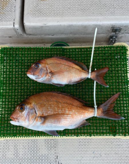 釣人家 釣果