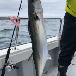 ビッグファイター 釣果