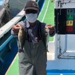 丸万釣船 釣果