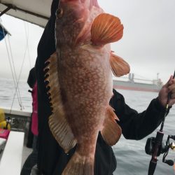 大雄丸 釣果