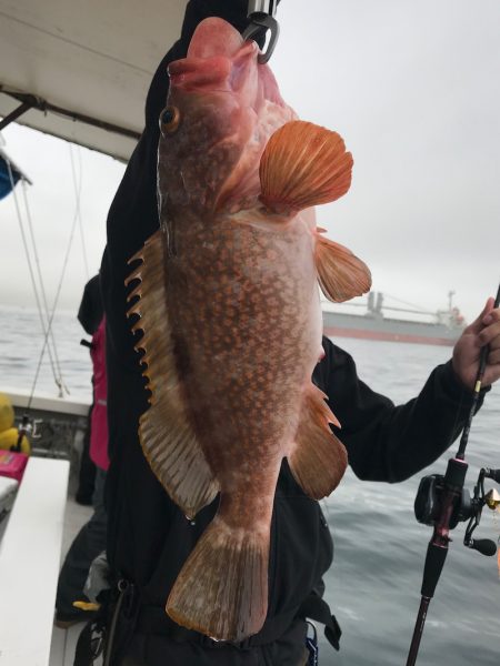 大雄丸 釣果