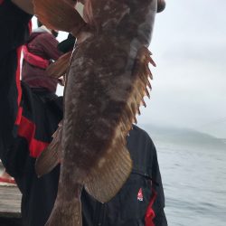 大雄丸 釣果