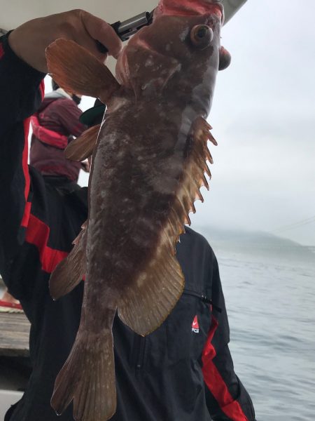 大雄丸 釣果