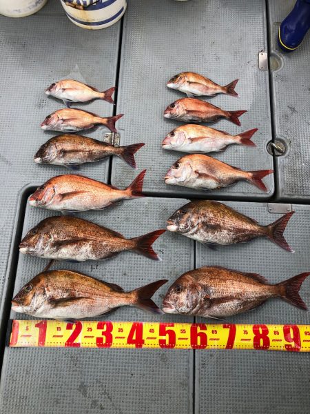 遊漁船高橋 釣果