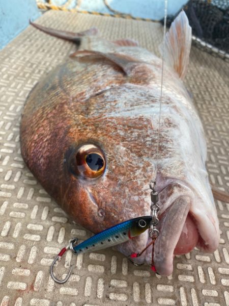 龍神丸（鹿児島） 釣果