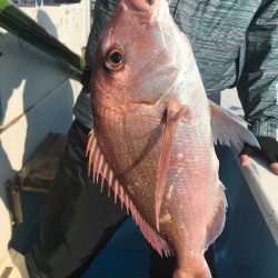 太平丸 釣果