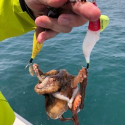 浜栄丸 釣果