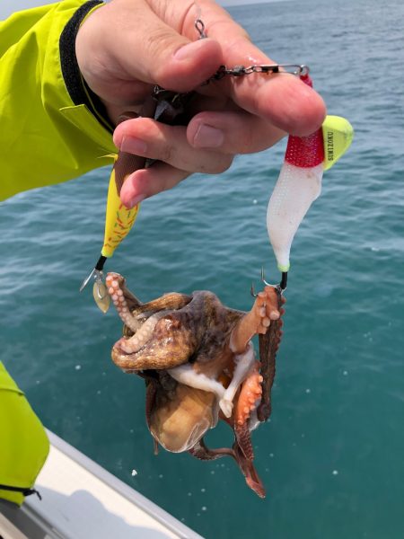 浜栄丸 釣果