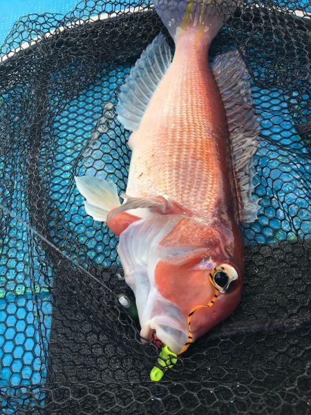 太平丸 釣果