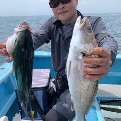 みやけ丸 釣果