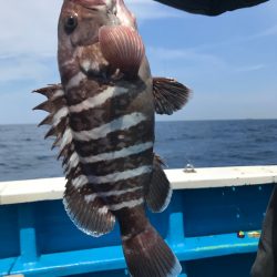 太平丸 釣果