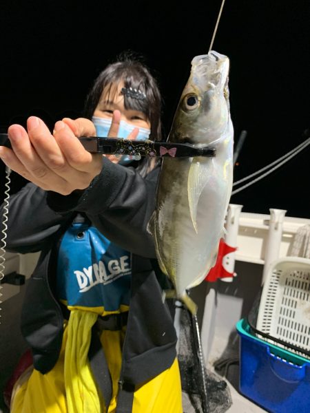 エヌスタイル 釣果