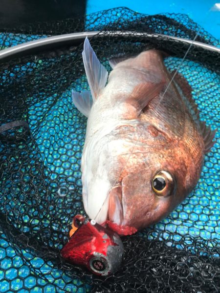 太平丸 釣果