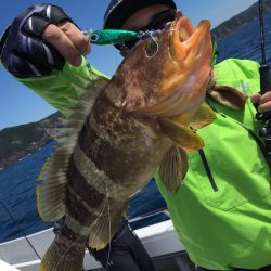 渡船屋たにぐち 釣果