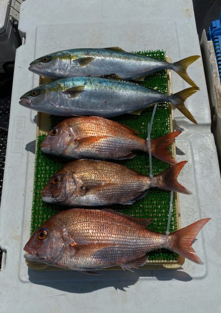 釣人家 釣果