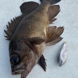 釣人家 釣果