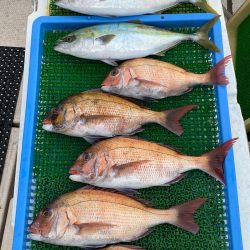 釣人家 釣果