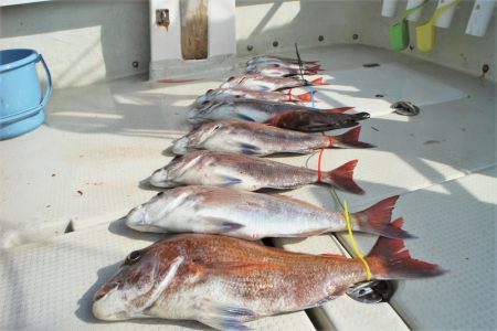 KIM Fishing Guide Service 釣果