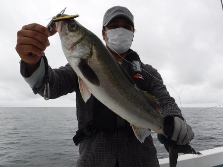 ＢｌｕｅＮｏｔｅ　Ｆｉｓｈｉｎｇ　Ｔａｘｉ 釣果