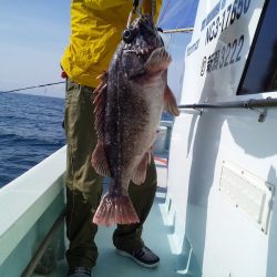 ひな丸 釣果