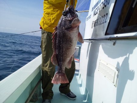 ひな丸 釣果