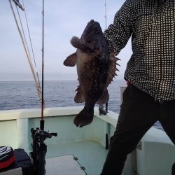 ひな丸 釣果