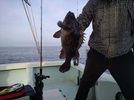 ひな丸 釣果