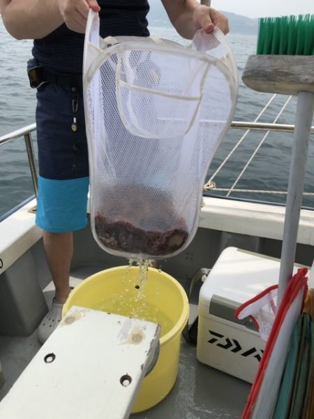 たかみ丸 釣果