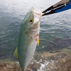 久しぶりの釣行