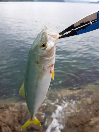 久しぶりの釣行