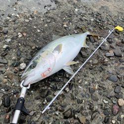 雨の中の市役所裏で