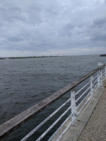 短時間の釣り　鯖サバ好調　ジグサビキ