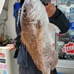 遊漁船　ニライカナイ 釣果