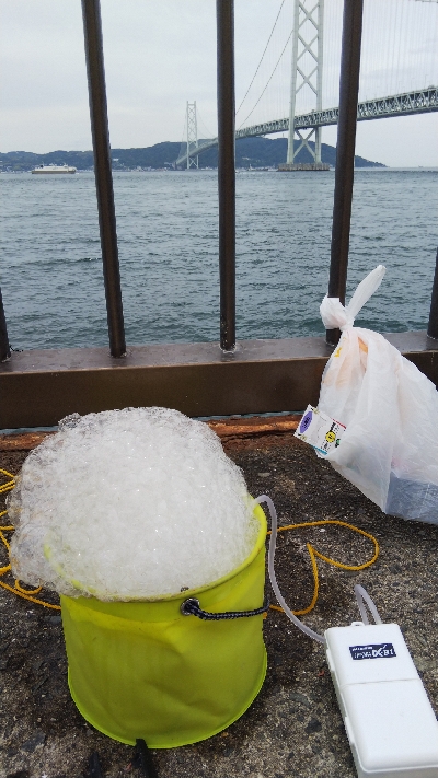 15センチのサバが沢山釣れました。