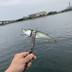 紀州釣り