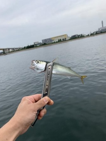 紀州釣り