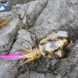 久しぶりの釣行