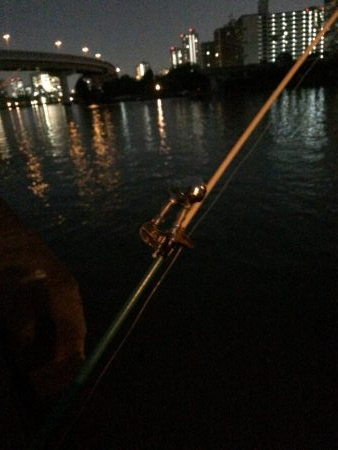 淀川のウナギ釣りパート8