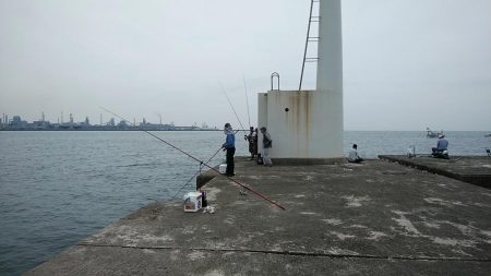 高砂港へキス調査Ⅱ