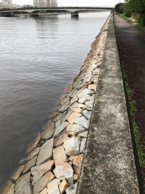 小雨降る中