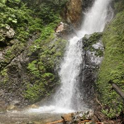 渓流釣り